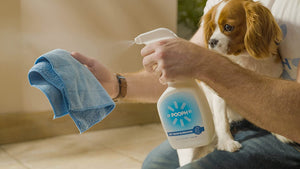 ITEM# 0148   Pet Odor Eliminator, 32oz Spray - Dismantles Odors on a Molecular Basis, Dogs, Cats, Freshener, Eliminator, Urine, Poop, Pee, Deodorizer, Natures, Puppy, Fresh, Clean, Furniture, Potty, Safe (Watch Video)