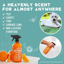 Load image into Gallery viewer, ITEM# 0069   ANGRY ORANGE Pet Odor Eliminator for Strong Odor - Citrus Deodorizer for Dog or Cat Urine Smells on Carpet, Furniture &amp; Floors - Puppy Supplies﻿ (Watch Video)
