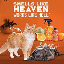 Load image into Gallery viewer, ITEM# 0069   ANGRY ORANGE Pet Odor Eliminator for Strong Odor - Citrus Deodorizer for Dog or Cat Urine Smells on Carpet, Furniture &amp; Floors - Puppy Supplies﻿ (Watch Video)
